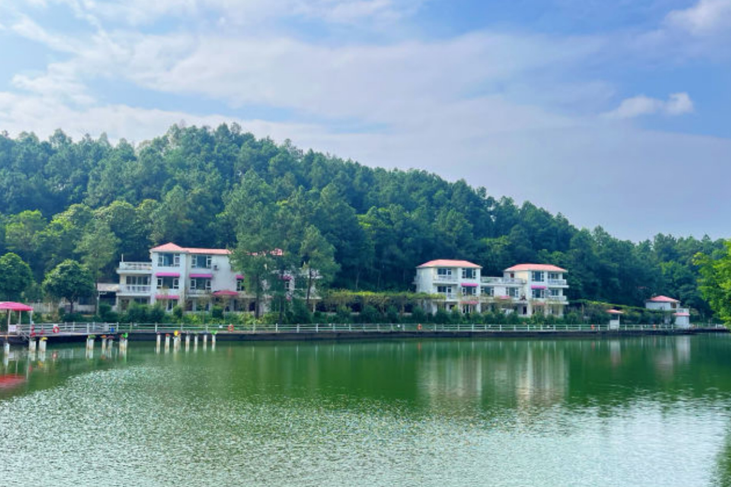 清遠靜?湖森林湖畔?宿童畫營地