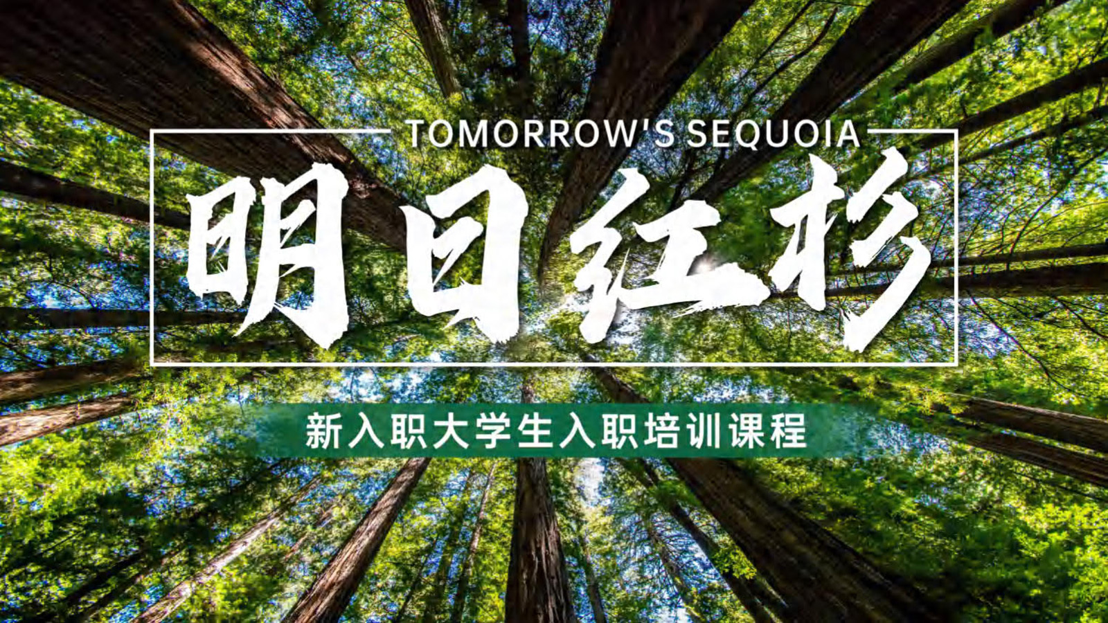 明日紅杉（新入職大學生培訓）